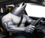 856025797