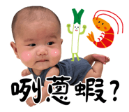 856026811
