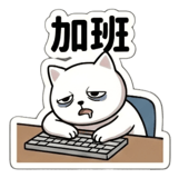 856027029