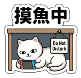 856027047
