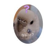 856027617