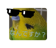 856027618