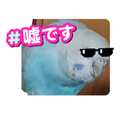 856027619