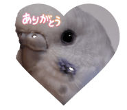 856027621
