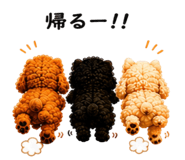 856027675