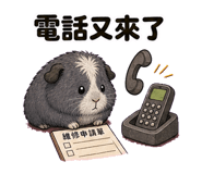 856027955