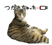 856028051