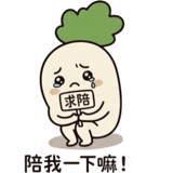 856028097