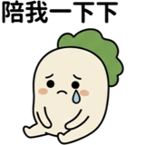 856028104
