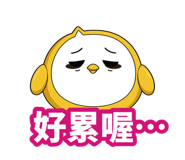 856028406