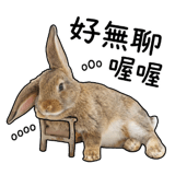 856028837