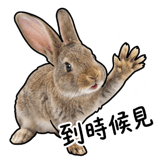 856028858