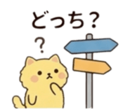 856028984