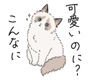 856031323