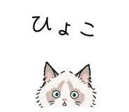 856031334