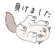 856031344