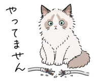 856031348