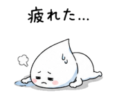 856031624