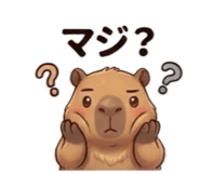 856032312