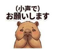 856032315