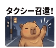 856033184