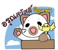 856035305