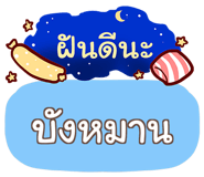 856035564