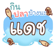 856036380