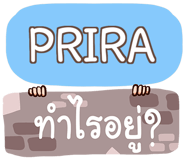 856045553