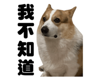 856060317