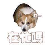 856060319