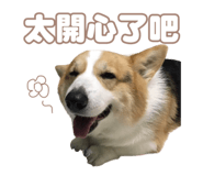 856060321