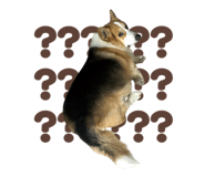 856060326