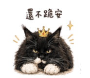 856060906