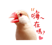 856060938