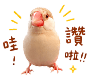 856060943