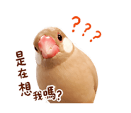 856060949