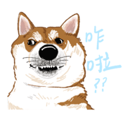 856061449