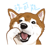 856061450