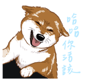 856061451