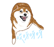 856061452