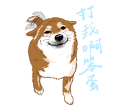 856061453