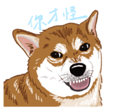856061454