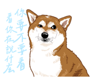 856061456
