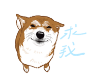 856061458