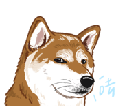 856061460