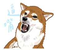 856061464