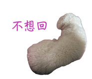 856061530