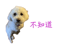 856061535
