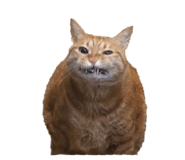 856061865